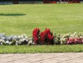 /album/kepgaleria-fenykepgaleria/dscf6687-jpg/